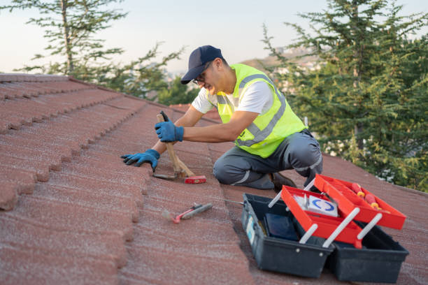 Tile Roofing Contractor in Paw Paw Lake, MI