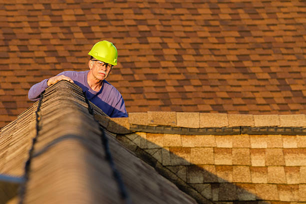 Best Roof Inspection Near Me  in Paw Paw Lake, MI