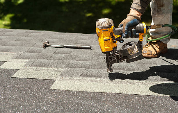 Best Shingle Roofing Installation  in Paw Paw Lake, MI